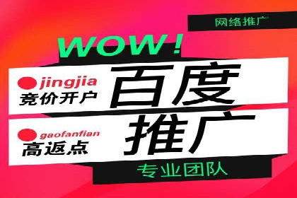 顶级SEM服务公司案例解析